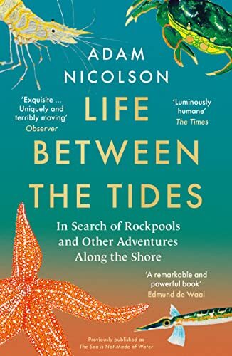 Life between the - life,