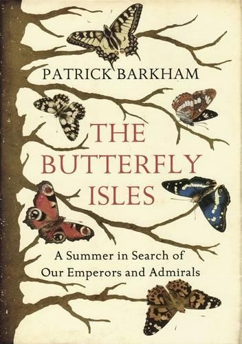 Butterfly isles summer in - summer,